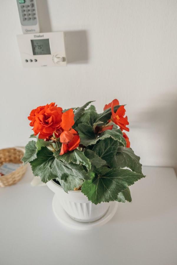 Apartman "Joka" Ðakovo Zewnętrze zdjęcie