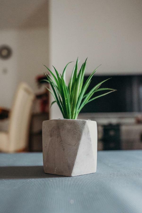 Apartman "Joka" Ðakovo Zewnętrze zdjęcie